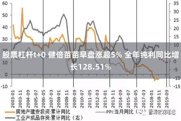 股票杠杆t+0 健倍苗苗早盘涨超5% 全年纯利同比增长128.51%