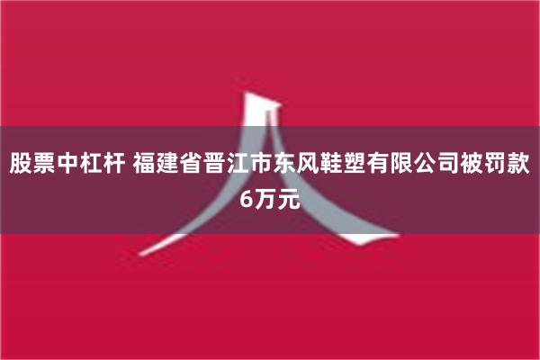 股票中杠杆 福建省晋江市东风鞋塑有限公司被罚款6万元