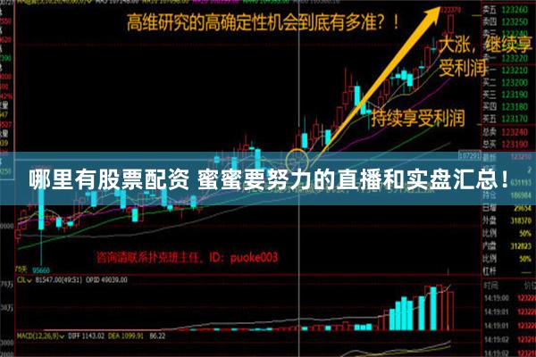 哪里有股票配资 蜜蜜要努力的直播和实盘汇总！