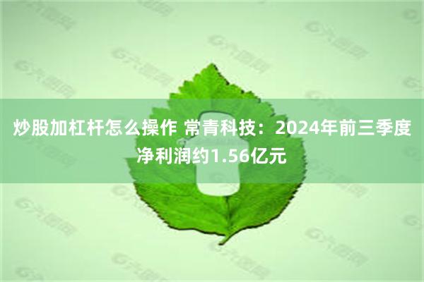 炒股加杠杆怎么操作 常青科技：2024年前三季度净利润约1.56亿元