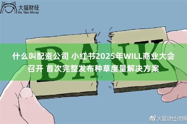 什么叫配资公司 小红书2025年WILL商业大会召开 首次完整发布种草度量解决方案