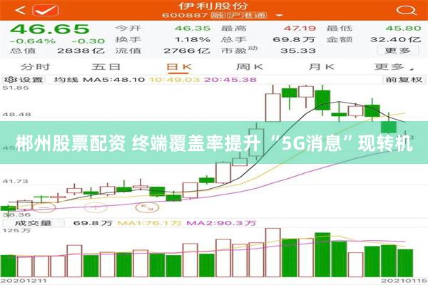 郴州股票配资 终端覆盖率提升 “5G消息”现转机